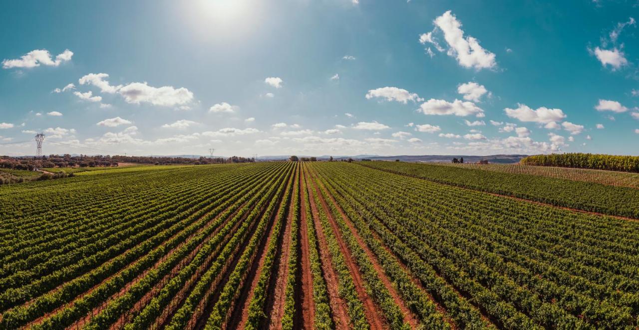 Вілла La Vinia Bed&Wine Experience - Adults Only Сассарі Екстер'єр фото